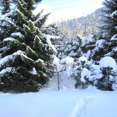 Chalet Myosotis *