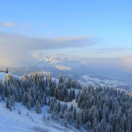 Chalet Myosotis Chalet Megeve